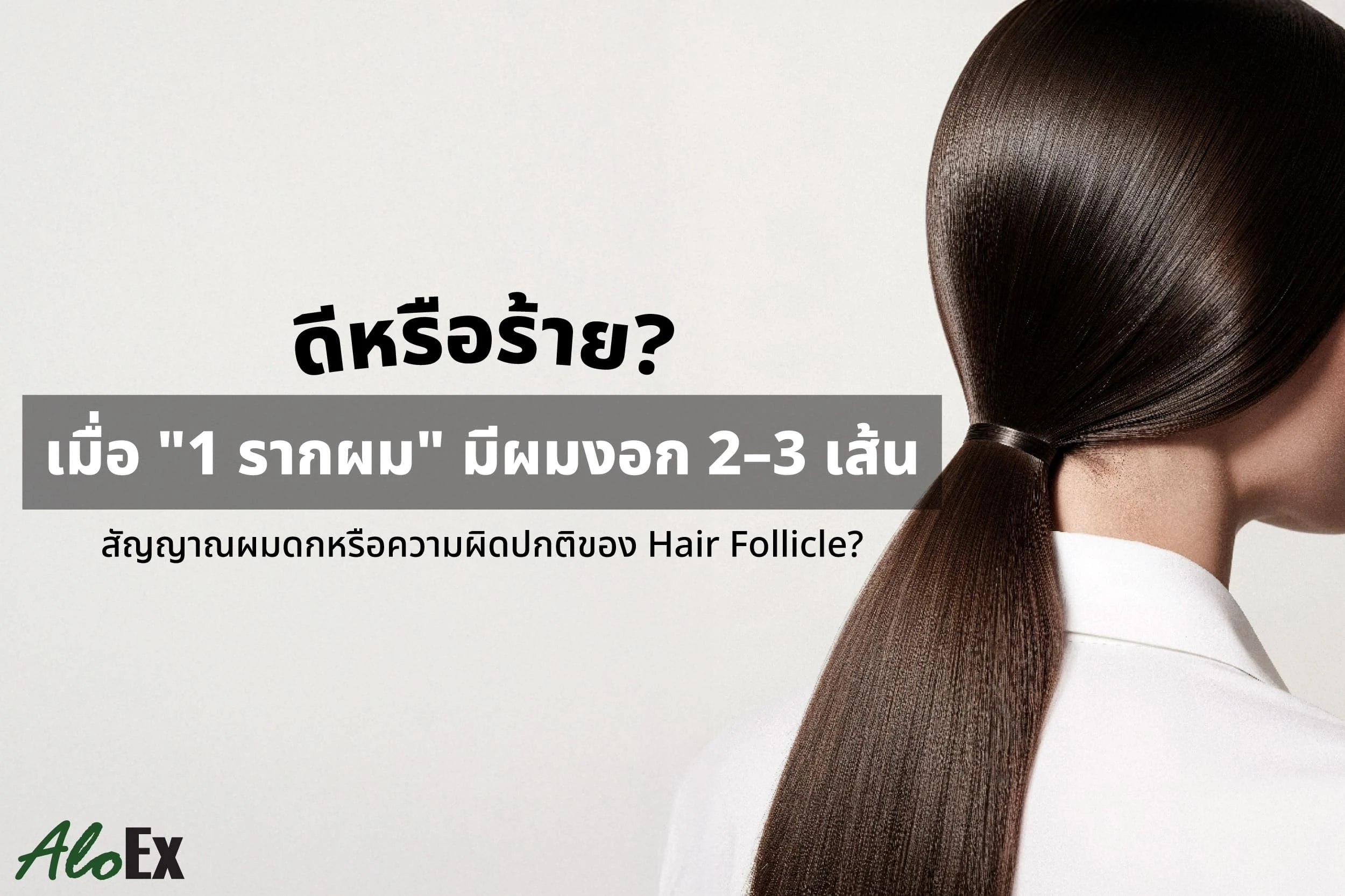 ดีหรือร้ายเมื่อ 1 รากผม มีผมงอก 2-3 เส้น