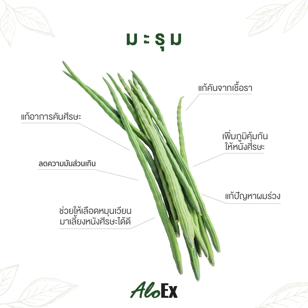 Moringa