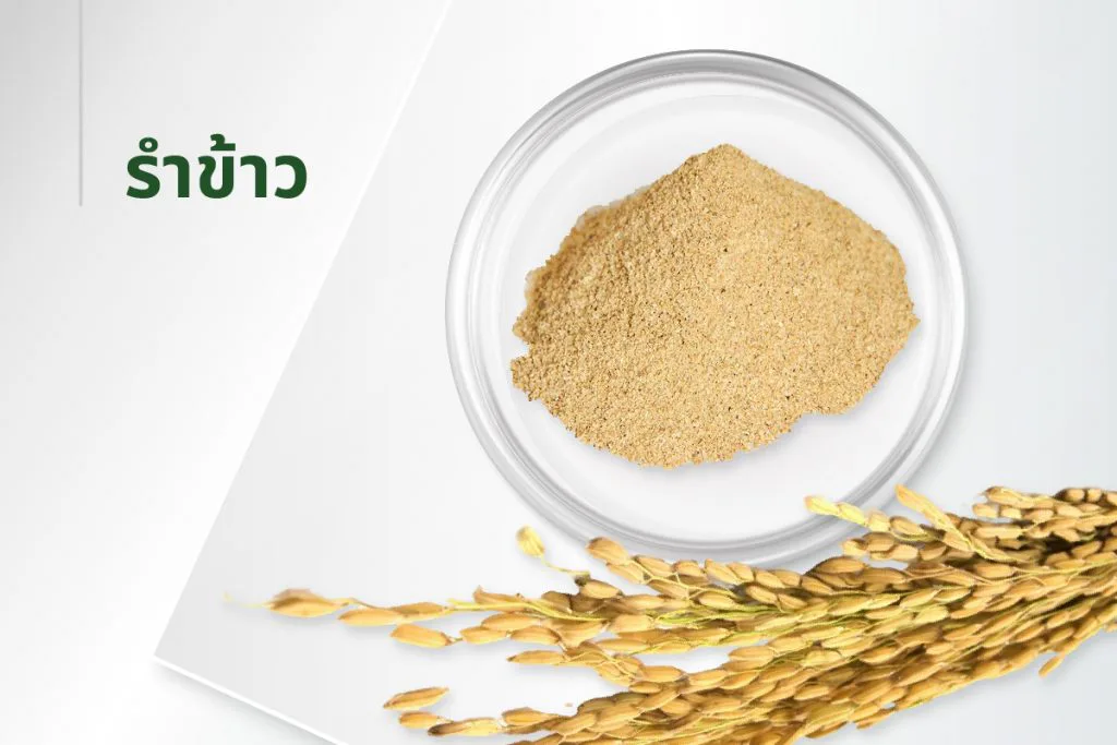 15种萃取物秘方——米糠