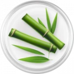 ไผ่