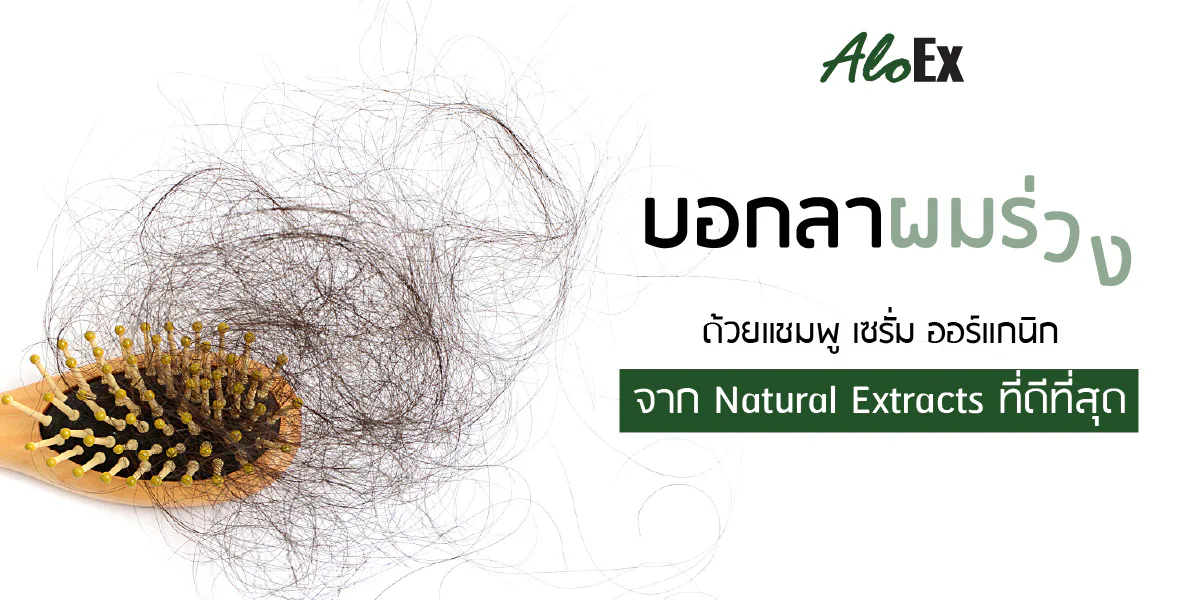 Say goodbye to hair fall with the best organic shampoo and serum from natural extracts