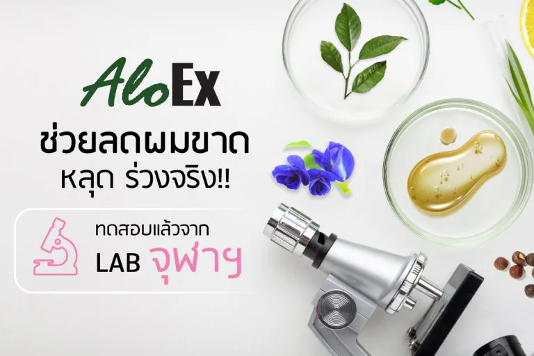 泰国草本如何减少脱发?AloEx 送朱拉隆功大学实验室检测,发现众多确实有效的草本益处。