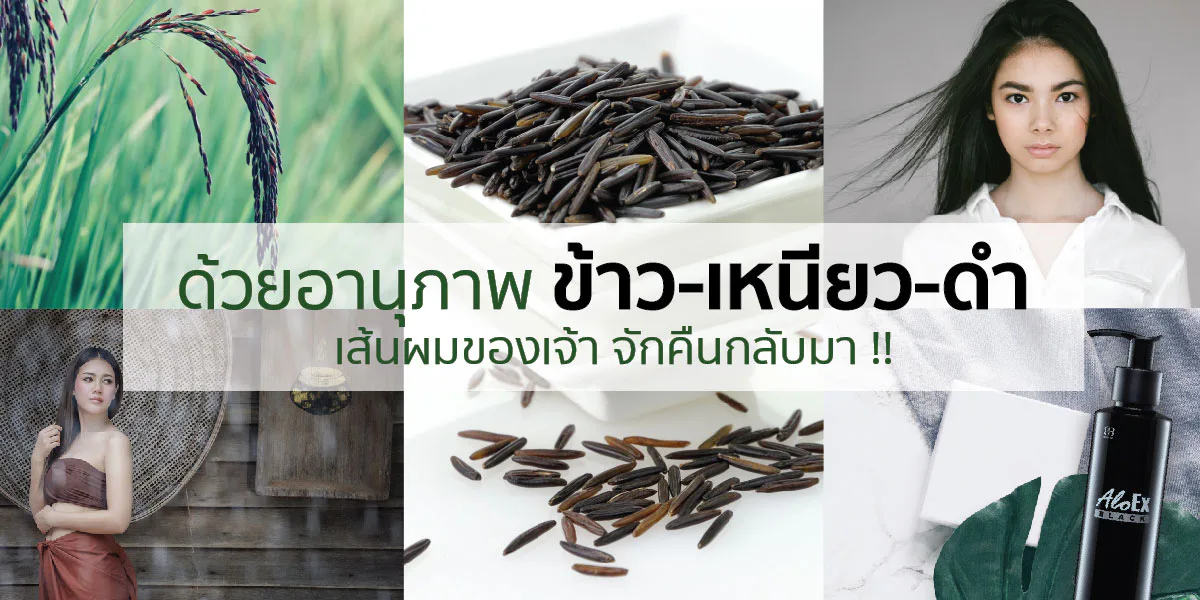 By the power of Black Sticky Rice, thy hair shall return