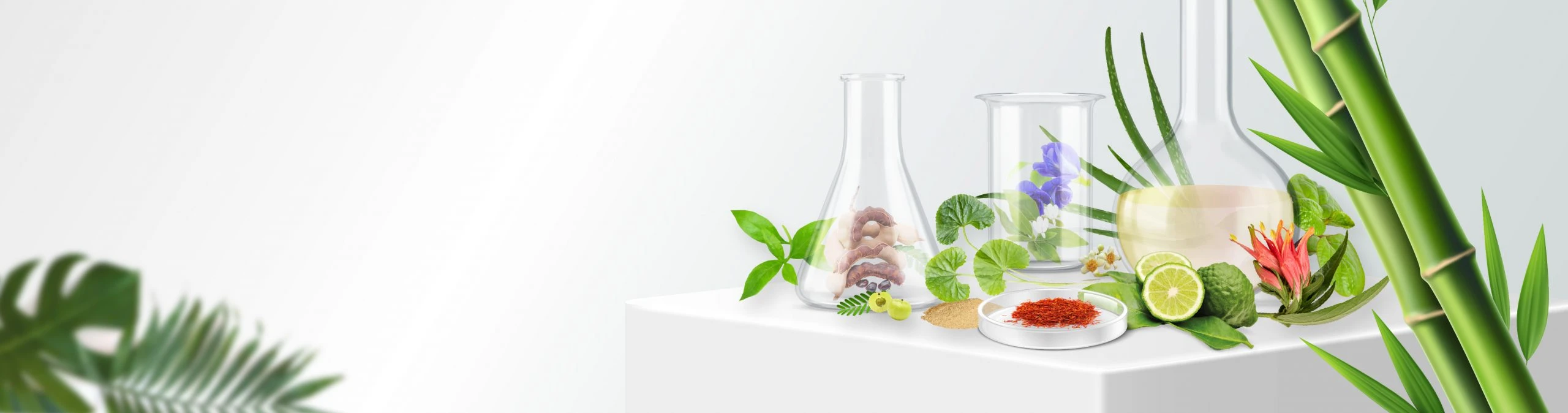 AloEx สูตรลับ 15 สารสกัดสมุนไพรไทย ลดผมร่วง สร้างผมใหม่