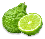 ရှောက်ချဉ်သီး (Kaffir lime)
