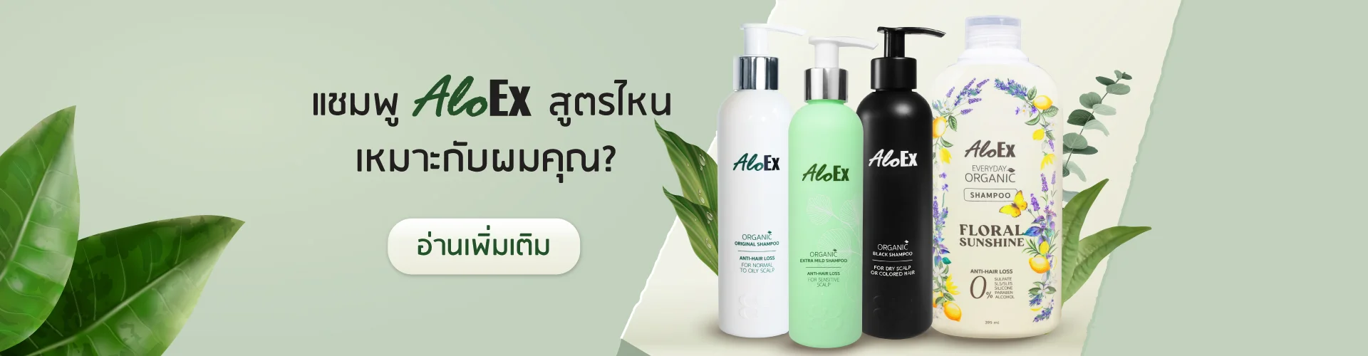 แชมพู AloEx สูตรไหนเหมาะกับผมคุณ?