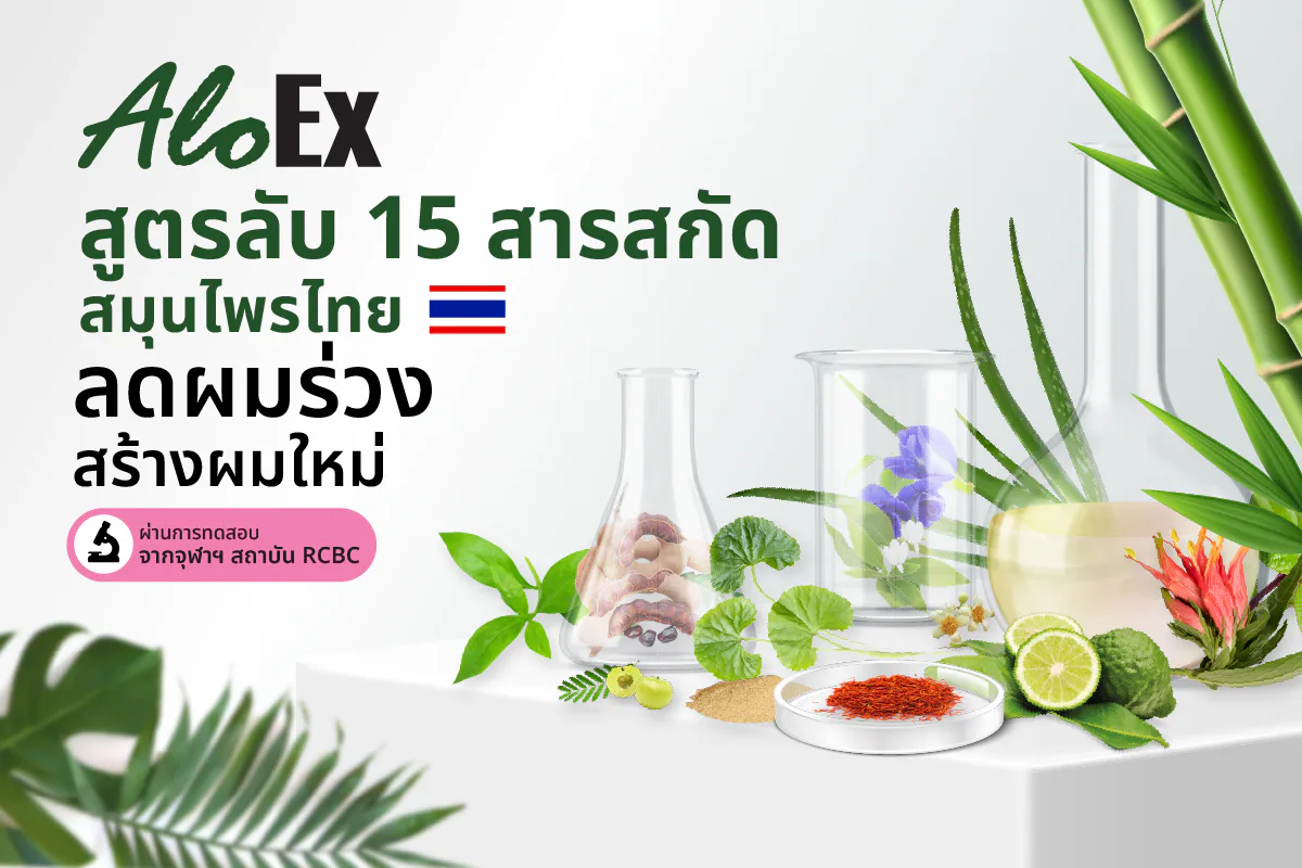 AloEx ၏ ဆံပင်ထူထဲစေသော လျှို့ဝှက်ဖော်မြူလာ — သက်သေပြထားသော ထိုင်းဆေးဖက်ဝင်အပင် ၁၅ မျိုးဖြင့် ဆံပင်ကျွတ်ခြင်းနှင့် ဆံပင်ကျွတ်ခြင်းကို စစ်မှန်စွာ လျှော့ချပေးကာ ဆံပင်ကျွတ်ခြင်းကို နှုတ်ဆက်လိုက်ပါ။
