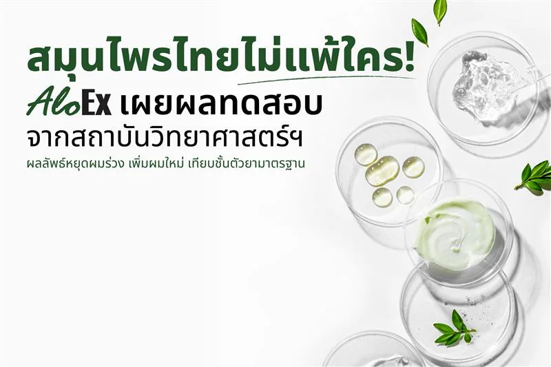 ထိုင်းဆေးဖက်ဝင်အပင်များ ဘယ်သူ့ကိုမှ မလျှော့! AloEx က ဓာတ်ခွဲခန်းရလဒ်များ ထုတ်ဖော် — ဆံပင်ကျွတ်မှု လျော့ကျစေပြီး ဆံပင်အသစ်ပေါက်မှု ပုံမှန်ဆေးဝါးများနှင့် တန်းတူ