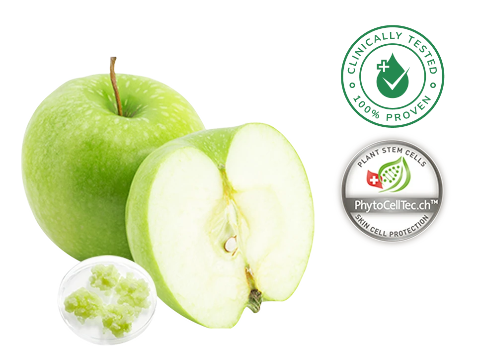 Apple Stem Cell