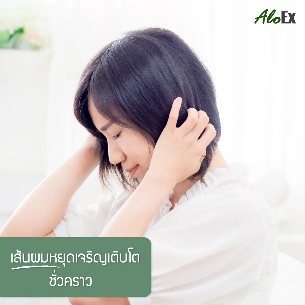 ဆံပင်ပြုတ်ကျမှု ပြင်းထန်စေသော အကြောင်းရင်း ၉ ချက် — ၀၉