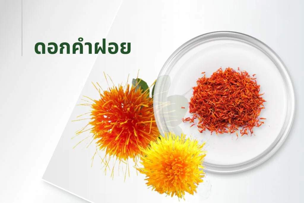 အနှစ်ဓာတ် ၁၅ မျိုး — နှင်းဆီပန်း