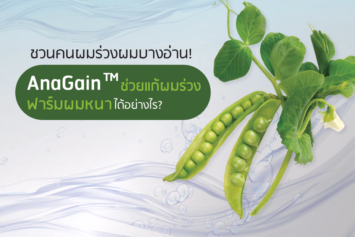 ชวนคนผมร่วงผมบางอ่าน! AnaGain™ ช่วยแก้ผมร่วง ฟาร์มผมหนาได้อย่างไร?