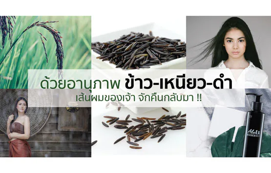 "ကောက်ညှင်းနက်" ၏ စွမ်းအားဖြင့် သင့်ဆံပင် ပြန်လည်ရှင်သန်စေပါ!