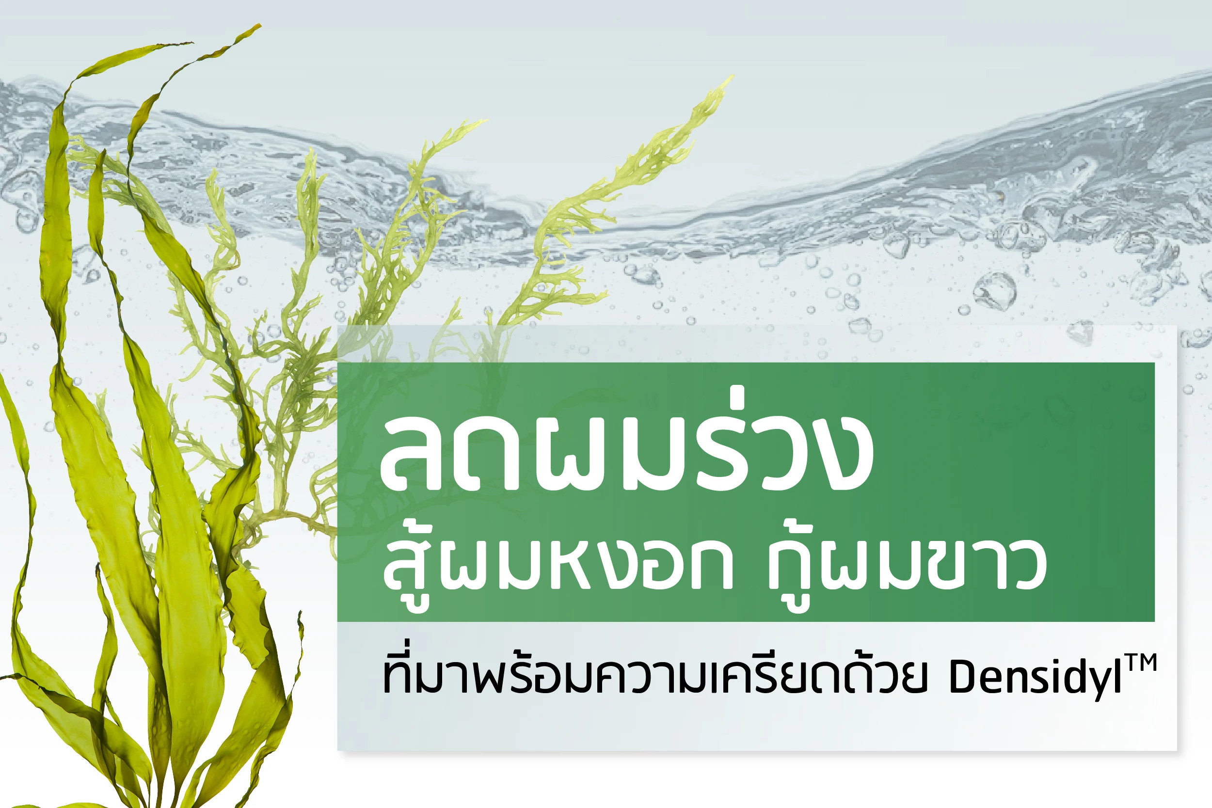 Densidyl ဖြင့် ဆံပင်ကြွတ်ကျမှုကို လျှော့ချ၊ ဆံပင်ဖြူ/မွဲခြင်းကို ကာကွယ်ပြီး စိတ်ဖိစီးမှုကိုပါ သက်သာစေသည်