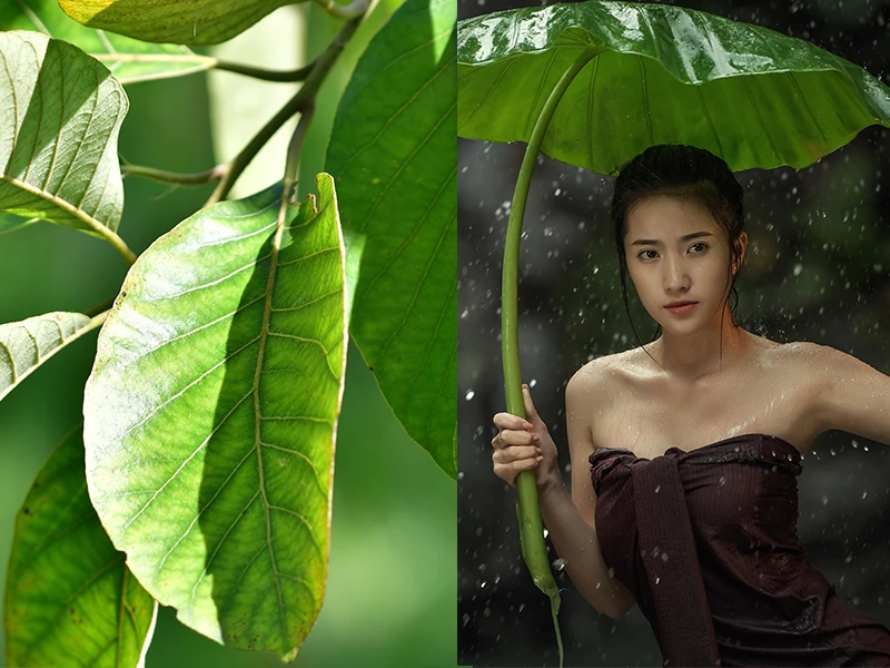 What did the ancient Thais use to wash their hair?
