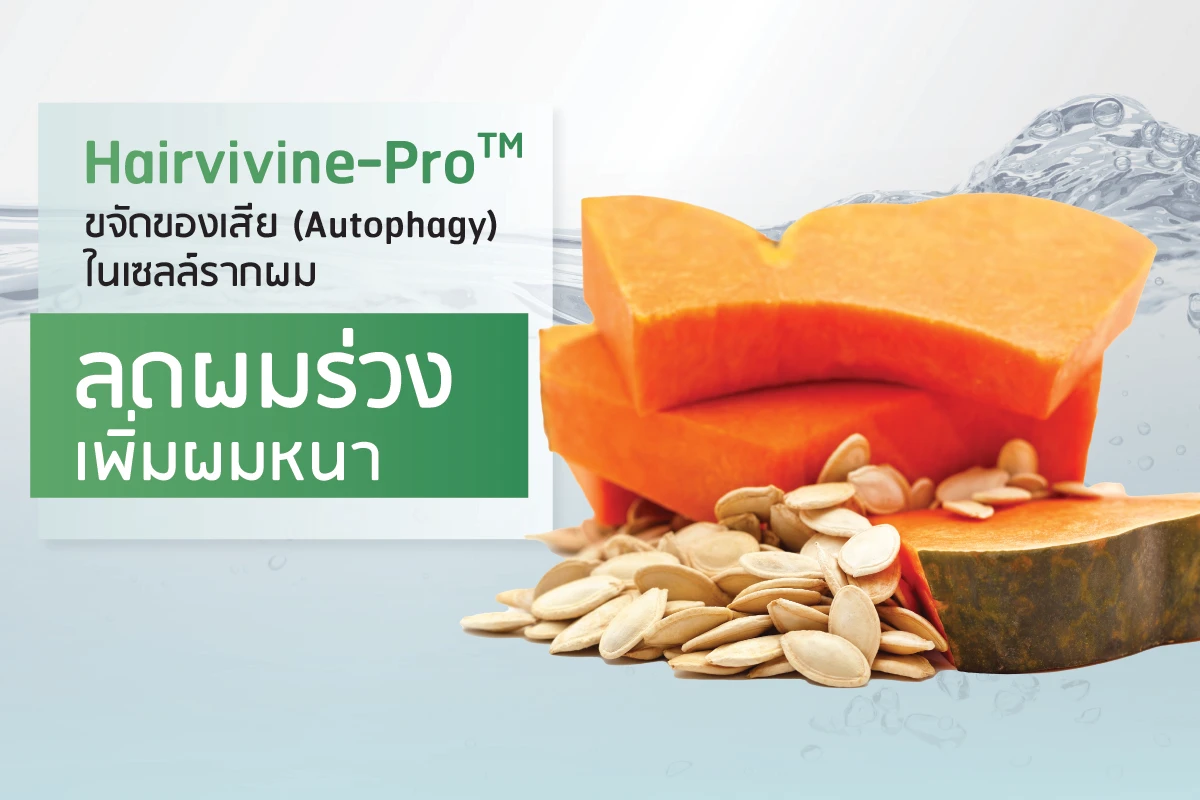 Hairvivine-Pro™ သည် ဆံပင်အမြစ်ဆဲလ်များအတွင်းရှိ အညစ်အကြေးများကို ဖယ်ရှားပေး (autophagy) ၍ ဆံပင်ကျွတ်မှုကို လျှော့ချကာ ဆံပင်ထူထဲမှုကို တိုးမြှင့်ပေးသည်။