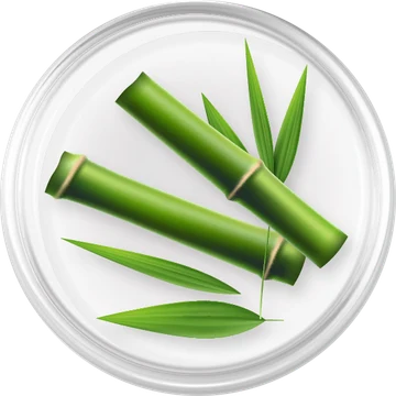 ဝါး