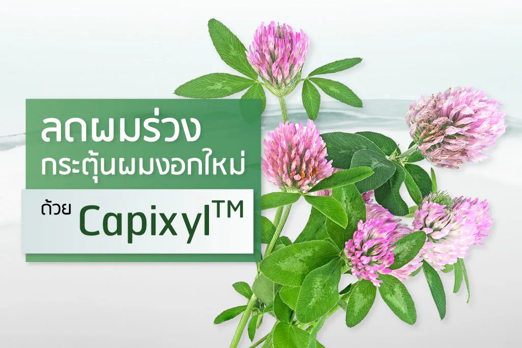 Capixyl ဖြင့် ဆံပင်ကျွတ်မှု လျှော့ချပြီး ဆံပင်အသစ်ပေါက်ရန် အားပေးပါ