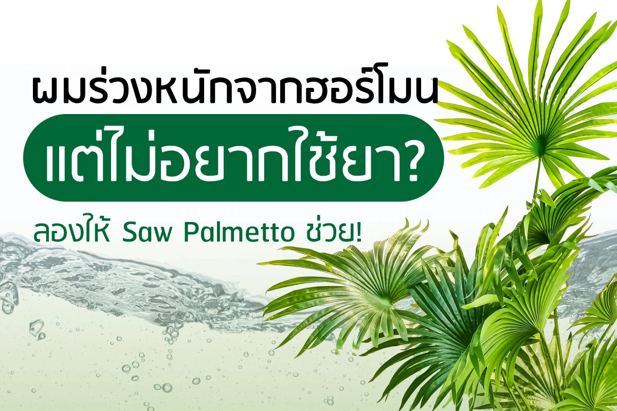 ဟော်မုန်းကြောင့် ဆံပင်အပြင်းအထန်ကျနေပြီး ဆေးမသုံးချင်ဘူးလား။ Saw Palmetto ကို စမ်းသုံးကြည့်ပါ။