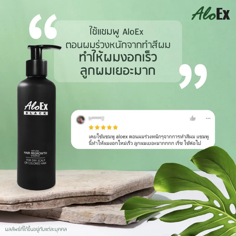 ဆံပင်မြန်မြန်ပေါက်ပြီး အသစ်အများကြီးပေါက်လာသည်