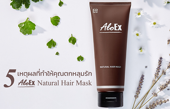 5 เหตุผลที่ทำให้คุณตกหลุมรัก AloEx Natural Hair Mask