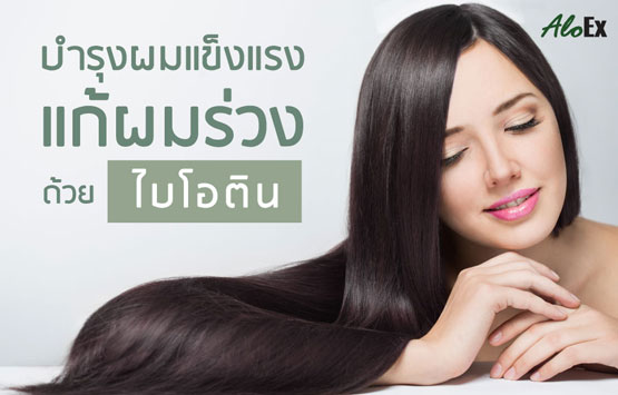 บำรุงผมแข็งแรง แก้ผมร่วง ด้วย ไบโอติน (Biotin)