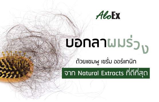 บอกลาผมร่วง ด้วยแชมพู เซรั่ม ออร์แกนิกจาก Natural Extracts ที่ดีที่สุด