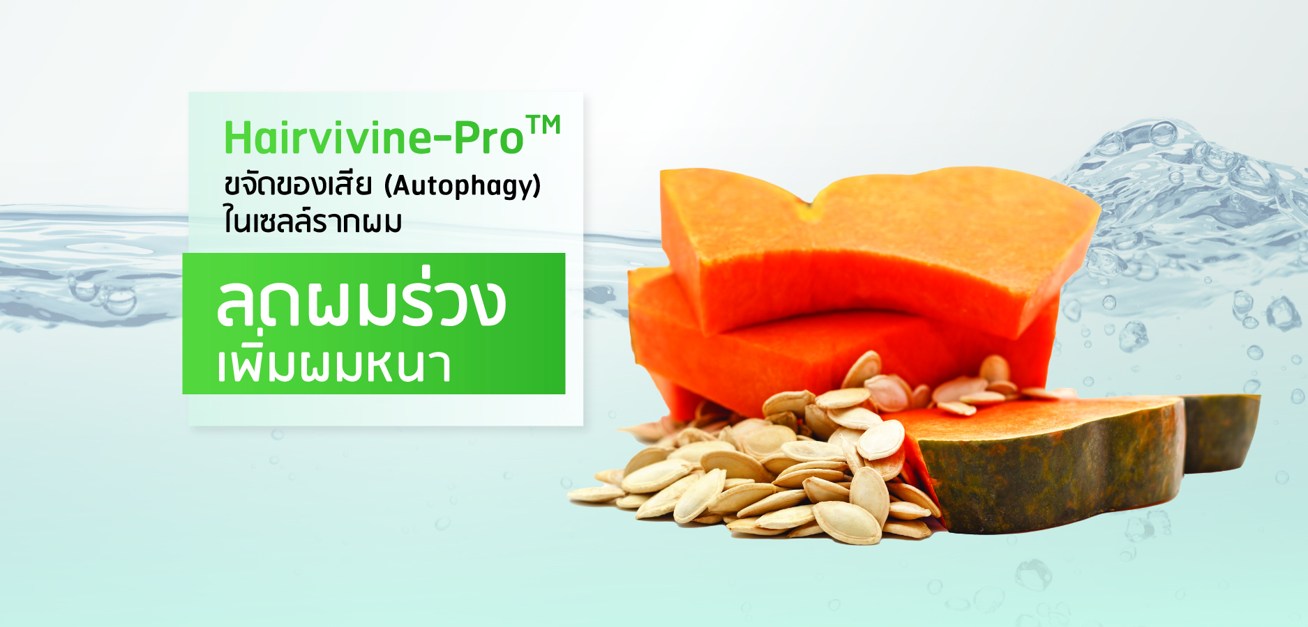 Hairvivine-ProTM ขจัดของเสีย (Autophagy) ในเซลล์รากผม ลดผมร่วง เพิ่มผมหนา