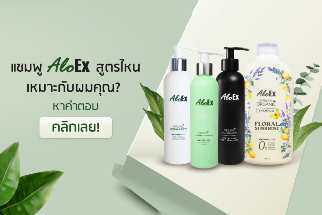 เทียบให้ชัด! แชมพูลดผมร่วง AloEx สูตรไหนที่ใช่สำหรับศีรษะและเส้นผมคุณ